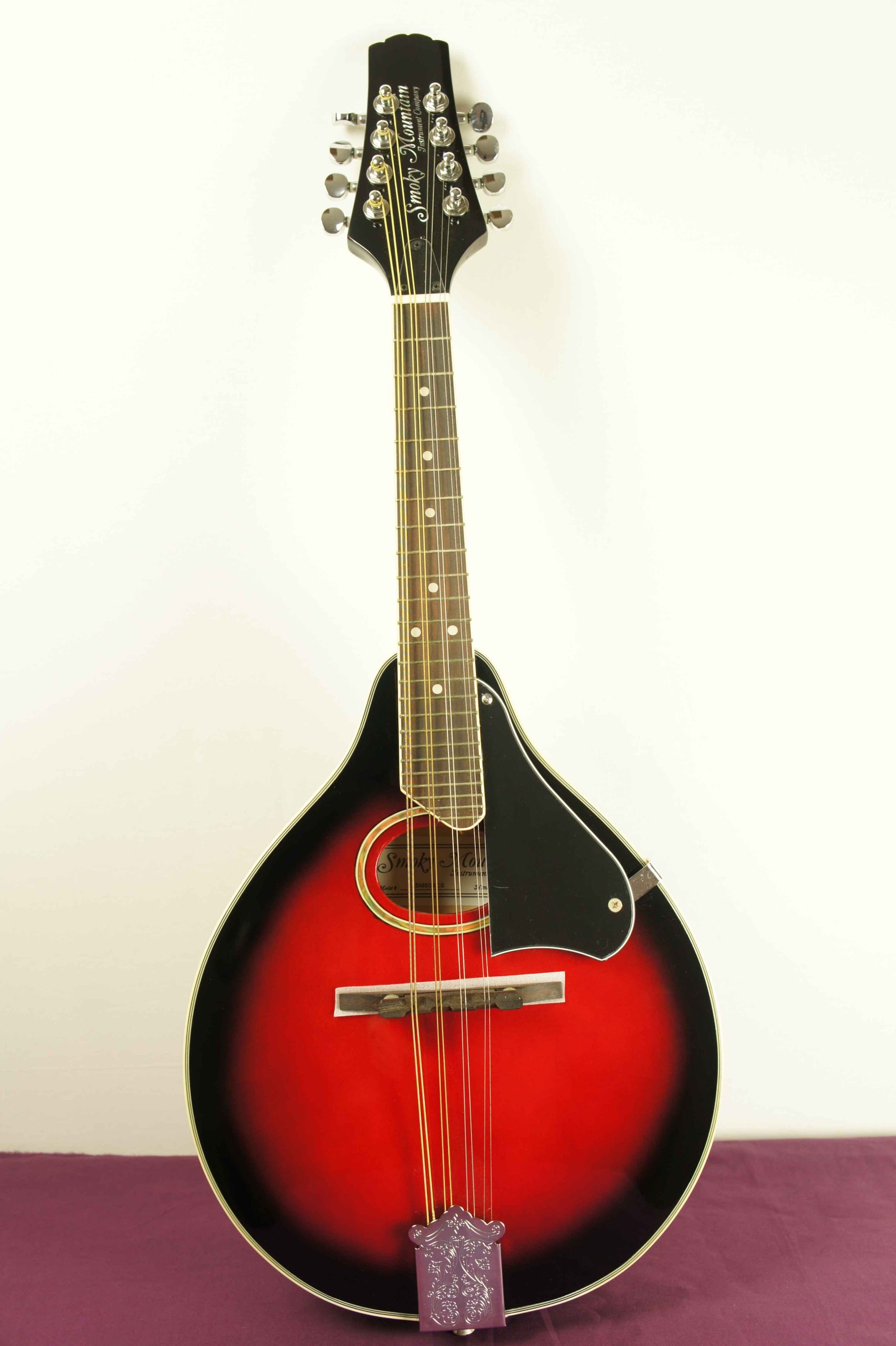 mandolin_smoky_mountain_SM60BCS_1