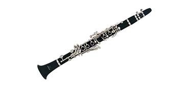 kisa_baglama_saz_profesyonel_soft_keys_gigbag_BK03_3