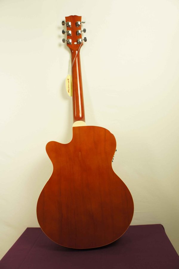 elektro_akustik_gitar_masterwork_uygun_fiyata_gitar_MWA-4000CE_11