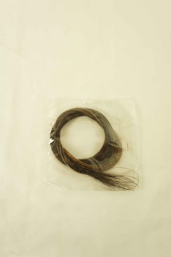 mogol_at_kili_kemence_yayi_HT85_1