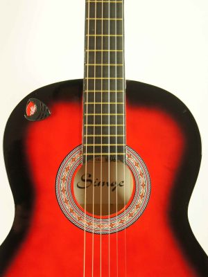 pena_sarjoru_on-stage_SAPK6500_2