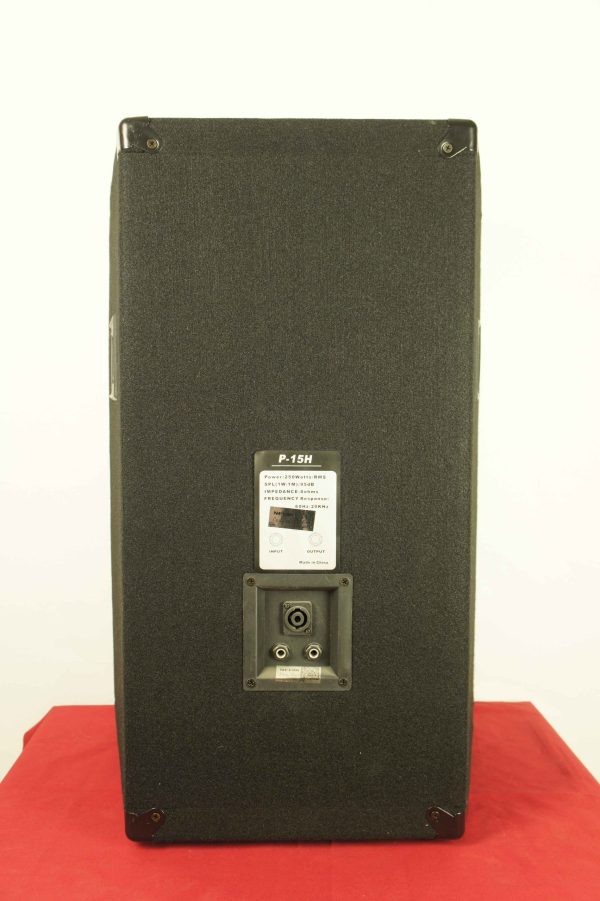 kabin_pasif_15inc_250W_cift_Leem_P-15H_3