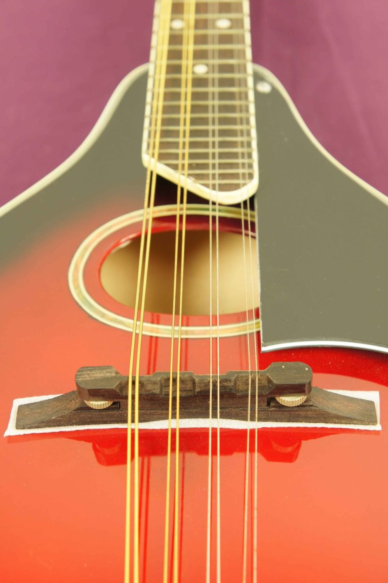 mandolin_smoky_mountain_SM60BCS_3